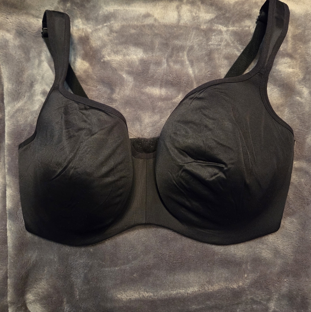 NWOT Cacique Bra.  38F